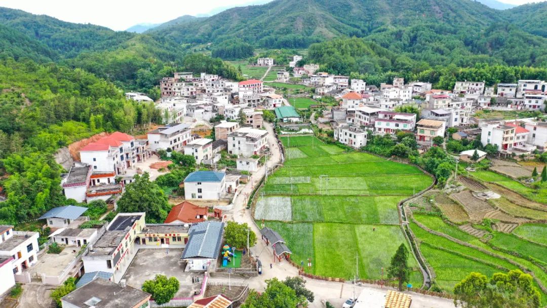 青山致富种植果园地址_青山种植致富果_青山种植专业合作社