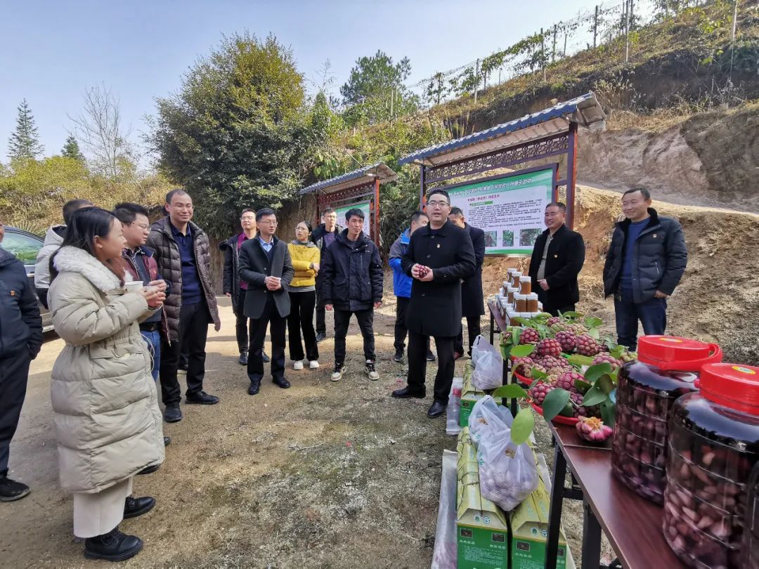 青山致富种植果园电话_青山致富种植果园在哪里_青山种植致富果