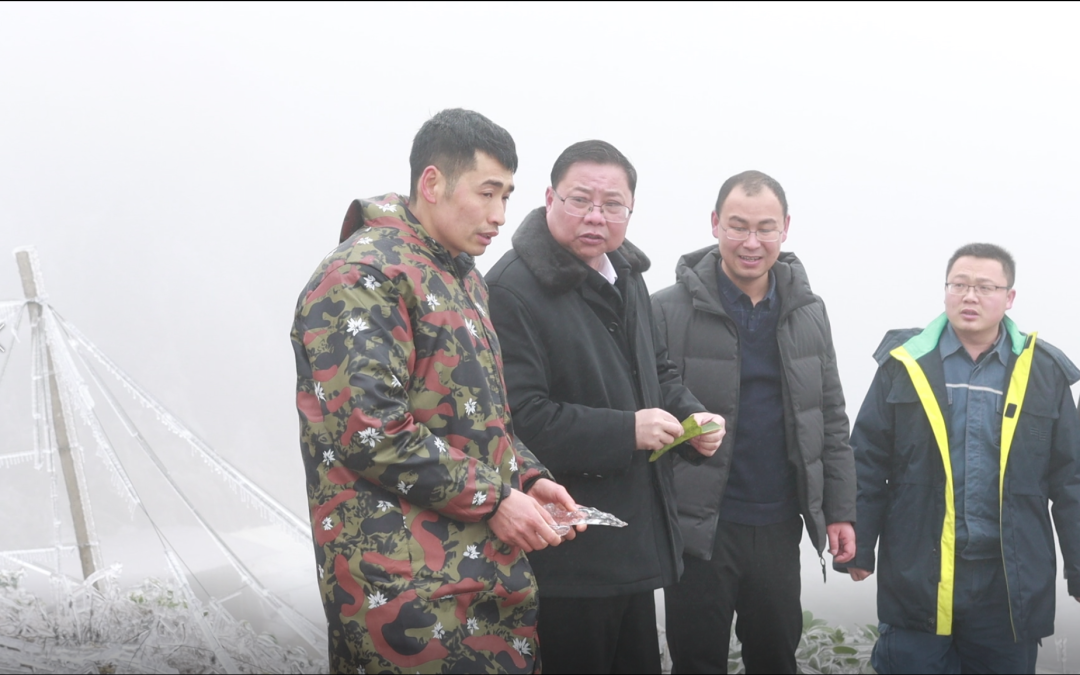 青山致富种植果园在哪里_青山致富种植果园电话_青山种植致富果