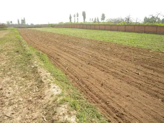 黄豆在南方几月播种_南方黄豆的种植技术_黄豆南方种植技术要求