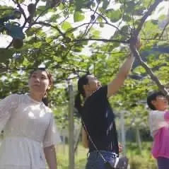 青山种植致富果_青山致富种植果园在哪里_青山种植专业合作社