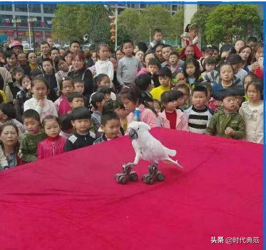 养土拨鼠赚钱吗_养殖土拨鼠致富_养殖土拨鼠的经济价值