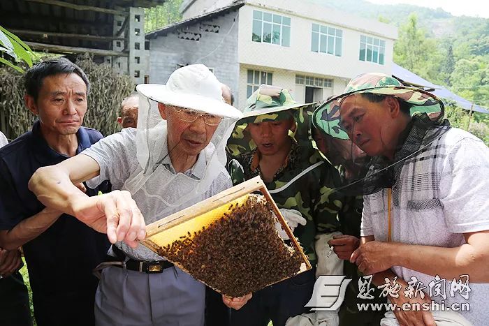 爷爷养殖致富_致富养殖爷爷视频_养殖致富之路