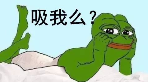 致富经蟾蜍的养殖技术_致富经蟾蜍的养殖技术_致富经蟾蜍的养殖技术