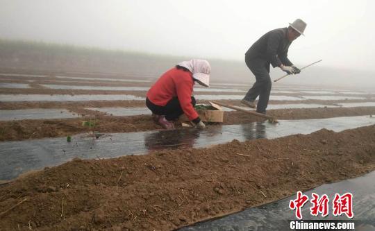 甘肃西峰特色种养殖业助脱贫：让村民“吃喝不愁”