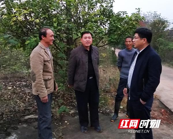 致富经 六亩鱼塘养殖鳜鱼_致富养殖鱼塘鳜鱼视频_致富养殖鱼塘鳜鱼图片