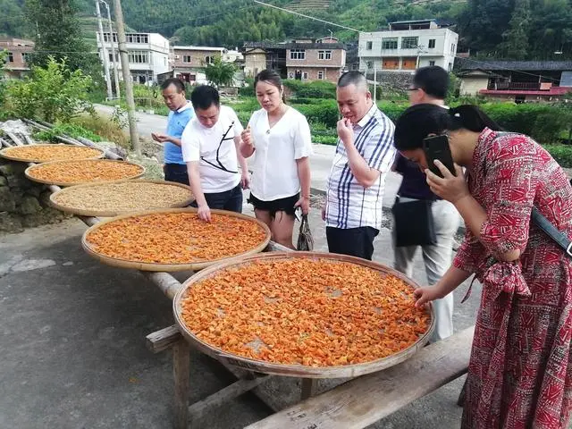 福建安溪：“网红村”的致富经