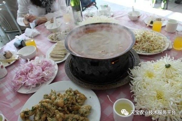 致富经：秀色可餐的食用鲜花如何挣大钱？