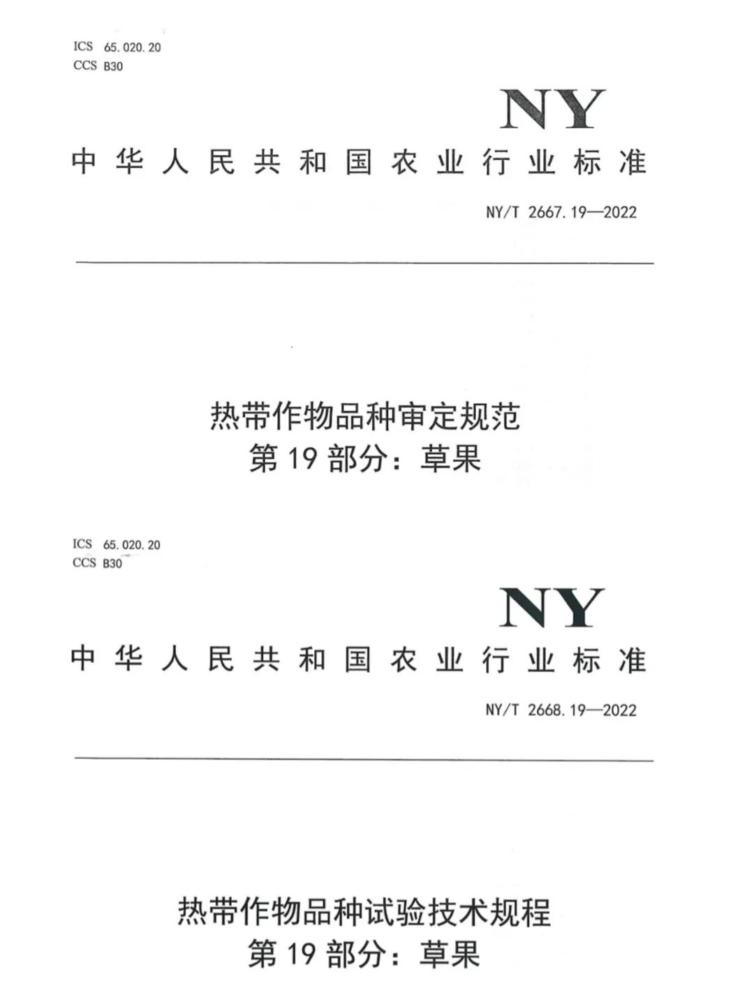 云南省农科院热经所参与完成的2个草果农业行业标准发布实施