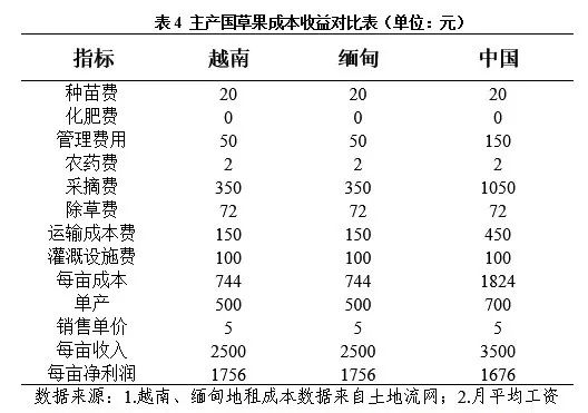 高产种植草果技术要点_草果高产种植技术_草果高产技术大全