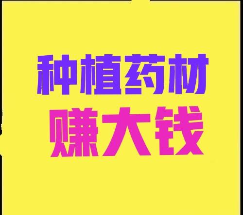 致富药材种植项目介绍_致富药材种植项目简介_种植药材 致富项目