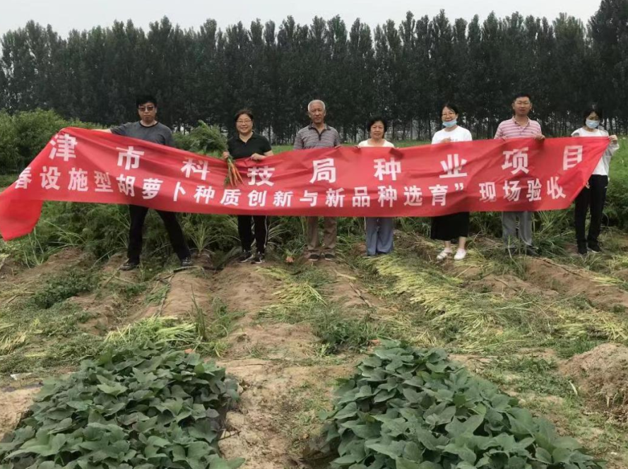 萝卜视频种植早春技术视频教程_萝卜视频种植早春技术教程_早春萝卜种植技术视频