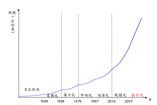 肉鸡养殖全程技术_养殖肉鸡技术宝典_养殖肉鸡技术视频