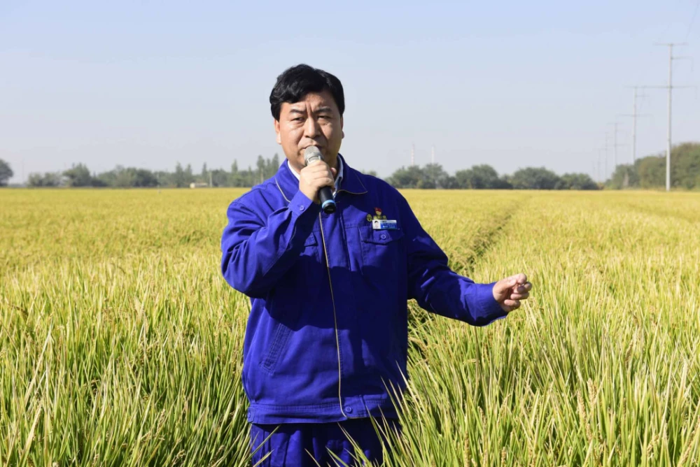 在新疆种植什么收入高_新疆种植什么赚钱_新疆种植致富