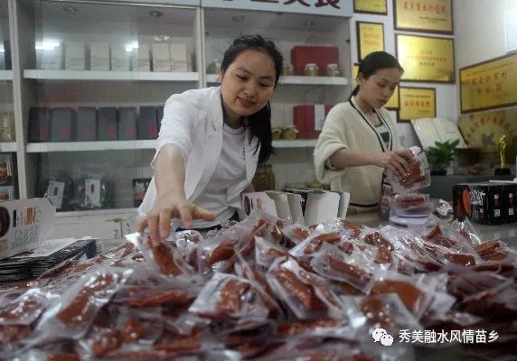 央视致富经养猪_中央电视台致富经香猪_中央电视台致富经