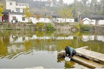 土地种植致富项目_致富种植土地项目介绍_致富种植土地项目有哪些