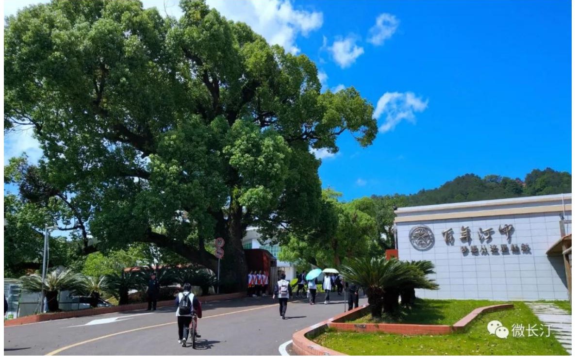 高中经验交流发言稿_高中学校经验分享_优质高中学习经验