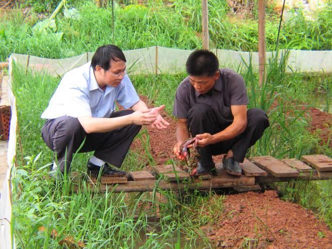 珠海致富养殖水蛭基地_广东水蛭养殖_珠海养殖水蛭致富