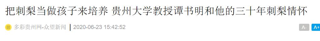 多彩贵州网：把刺梨当做孩子来培养 贵州大学教授谭书明和他的三十年刺梨情怀