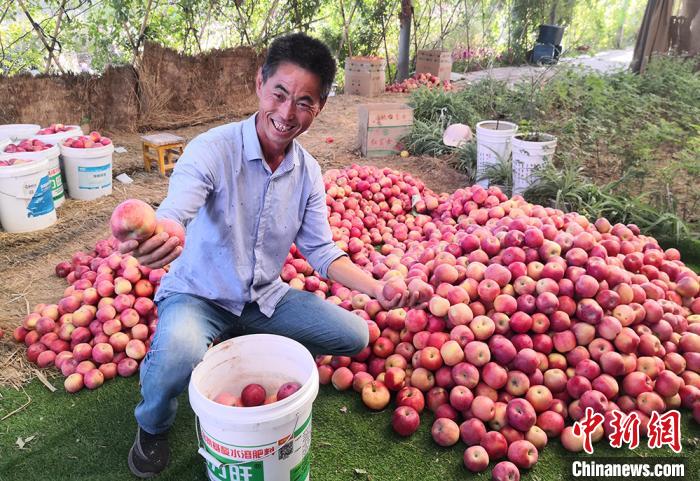 夫妻养殖致富方式_养殖致富经_致富养殖视频