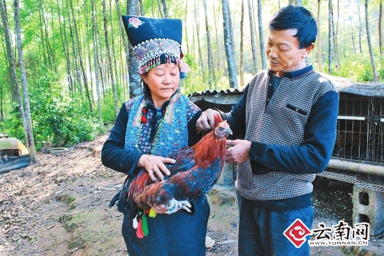 养殖致富经_夫妻养殖致富方式_养殖致富之路