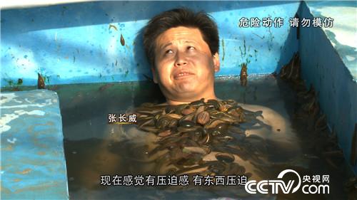 珠海致富养殖水蛭基地_珠海致富养殖水蛭怎么样_珠海养殖水蛭致富