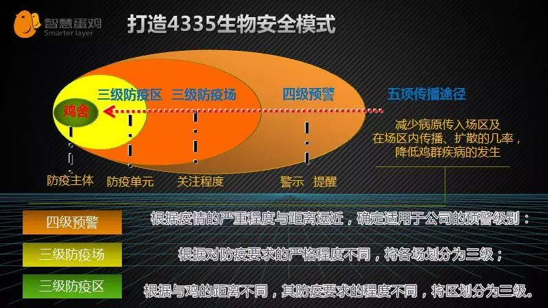 生态养殖蛋鸡的未来市场前景_养蛋鸡视频大全视频农户_生态蛋鸡养殖技术视频