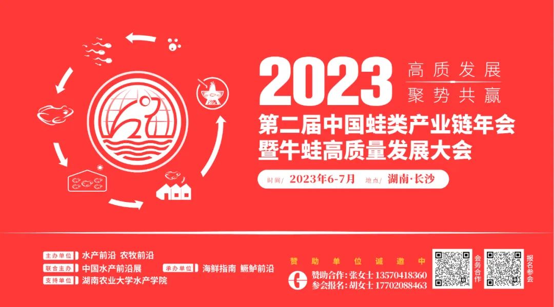 致富养殖青蟹怎么样_青蟹养殖5亩赚800万_青蟹养殖致富经