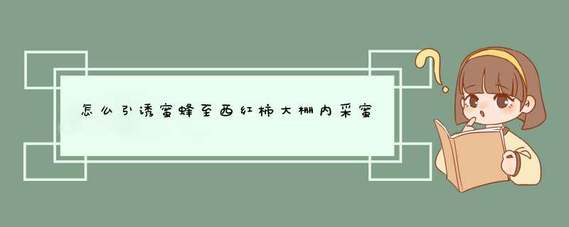 怎么引诱蜜蜂至西红柿大棚内采蜜