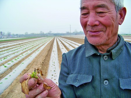 “一亩地，往年能产4000多斤土豆，今年最多产3000斤”