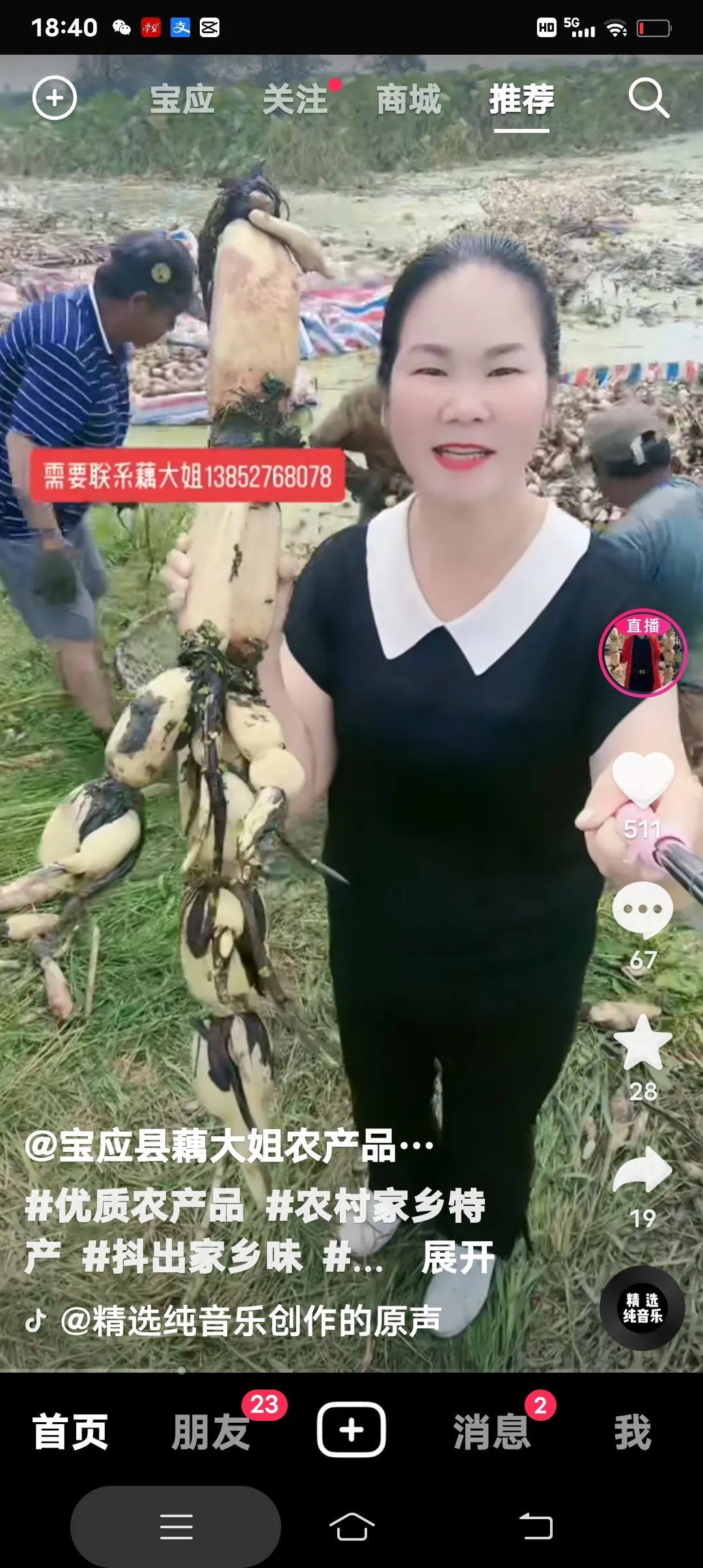 宝应：坚持绿色生态莲藕种植，打造农业高质量发展特色产业