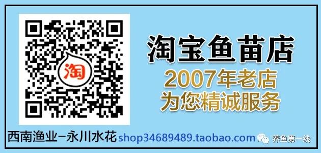 水生动物图文欣赏(5)——鱼类的九种食性：四大主要食性鱼类与五小类食性鱼类