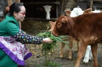 致富养殖最佳方法视频_养殖致富最佳方法_致富养殖最佳方法图片