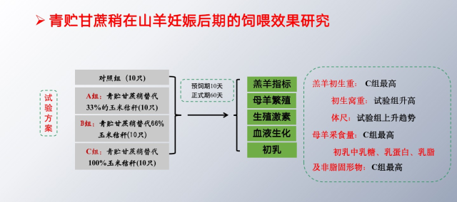 致富养殖最佳方法视频_致富养殖什么最赚钱_养殖致富最佳方法