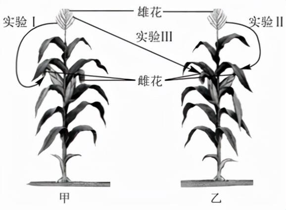 水产养殖试题及答案_水产养殖技术试题答案_水产养殖技术试题大全