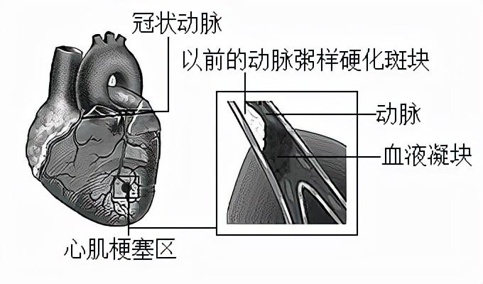 水产养殖技术试题答案_水产养殖试题及答案_水产养殖技术试题大全