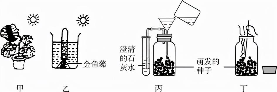 水产养殖技术试题答案_水产养殖技术试题大全_水产养殖试题及答案