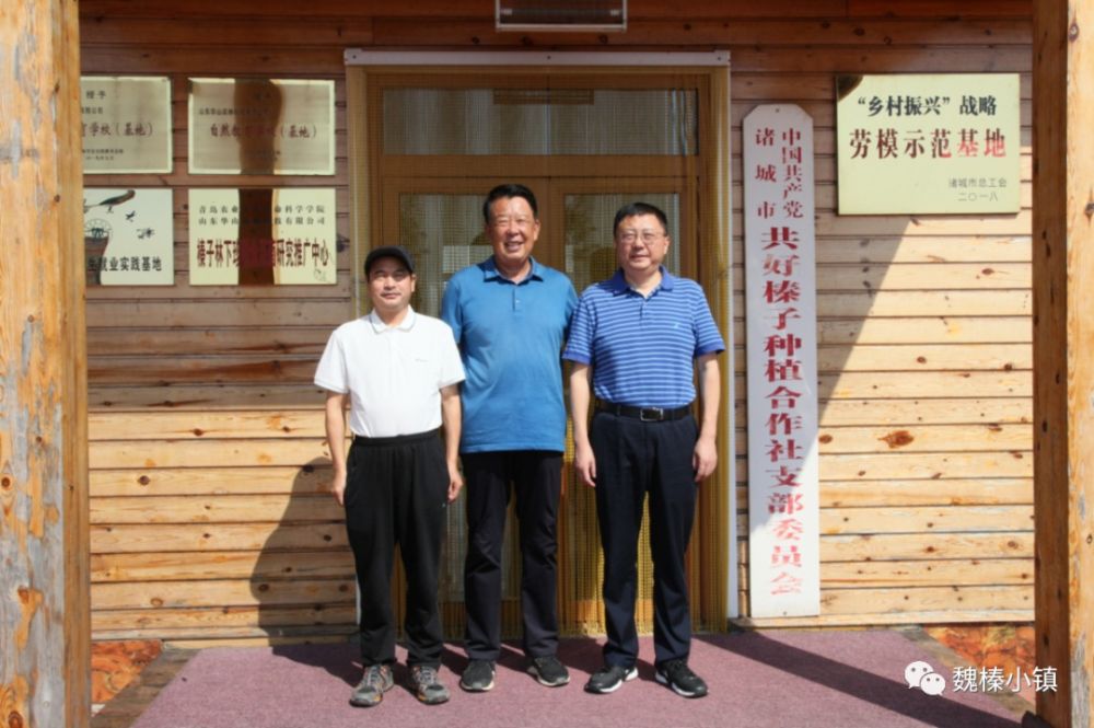 种植榛子的经济效益怎么样_榛子种植前景堪忧_荒山种植榛子致富