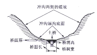 致富芦荟种植方法_致富种植芦荟_致富芦荟种植条件