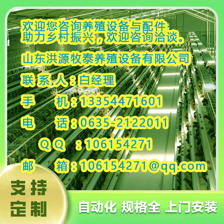 山东蛋鸡养殖致富故事简介_山东蛋鸡养殖致富故事简介_山东蛋鸡养殖致富故事简介