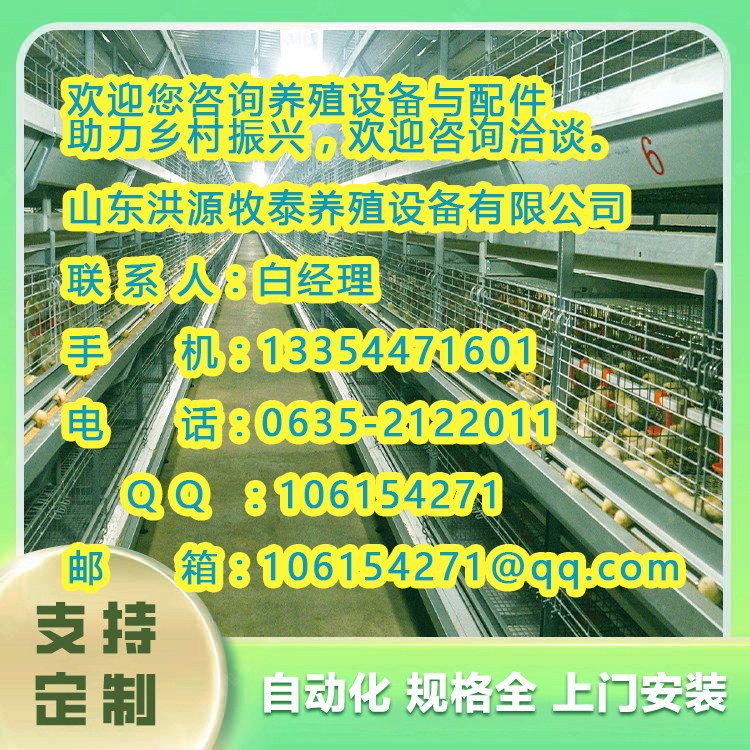 新城区蛋鸡自动化养殖设备集团2023