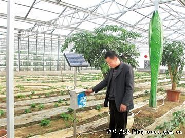 彩椒种子的种植方法：济宁：创业路上多艰辛 他把食用菌做“活”了