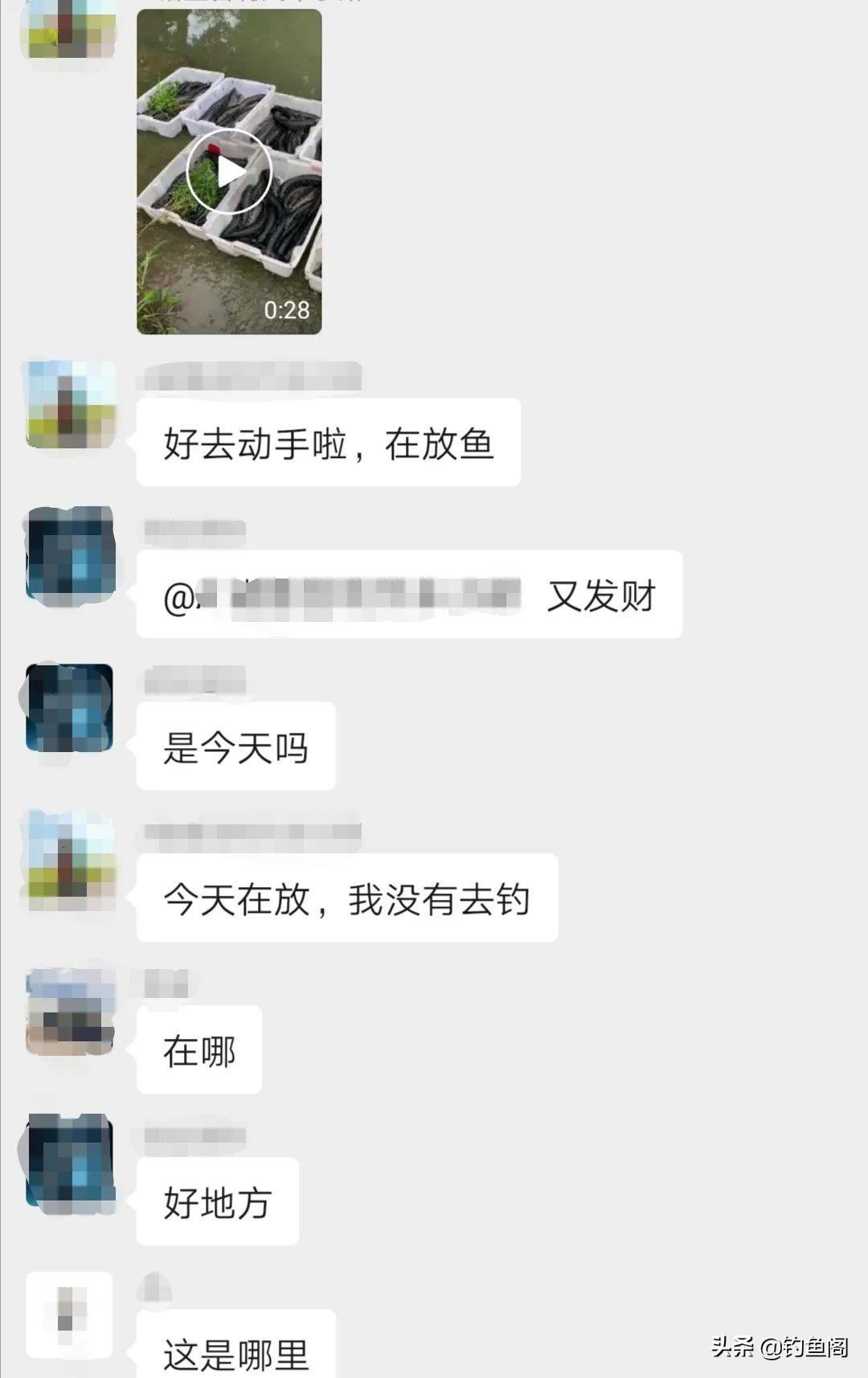 网箱养黑鱼每平方养几多_致富经网箱养黑鱼视频_网箱黑鱼养殖