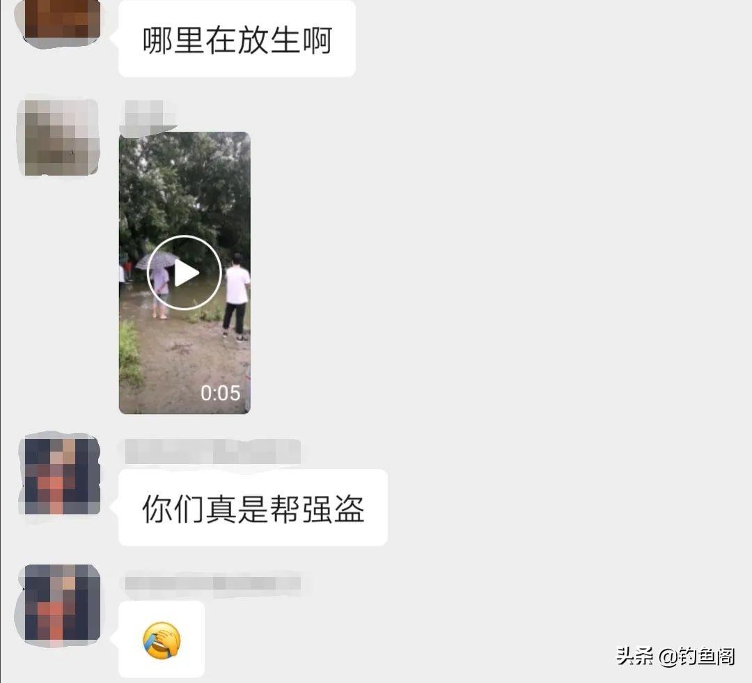 网箱黑鱼养殖_致富经网箱养黑鱼视频_网箱养黑鱼每平方养几多