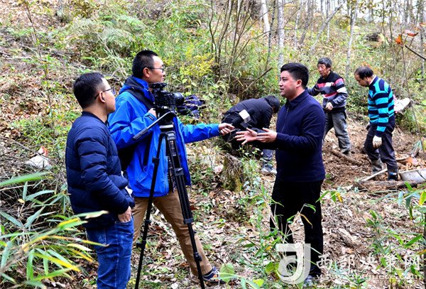 细辛种植致富实例图_致富经种植视频全集_致富经种植药材