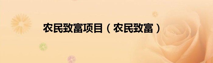 农民致富项目（农民致富）