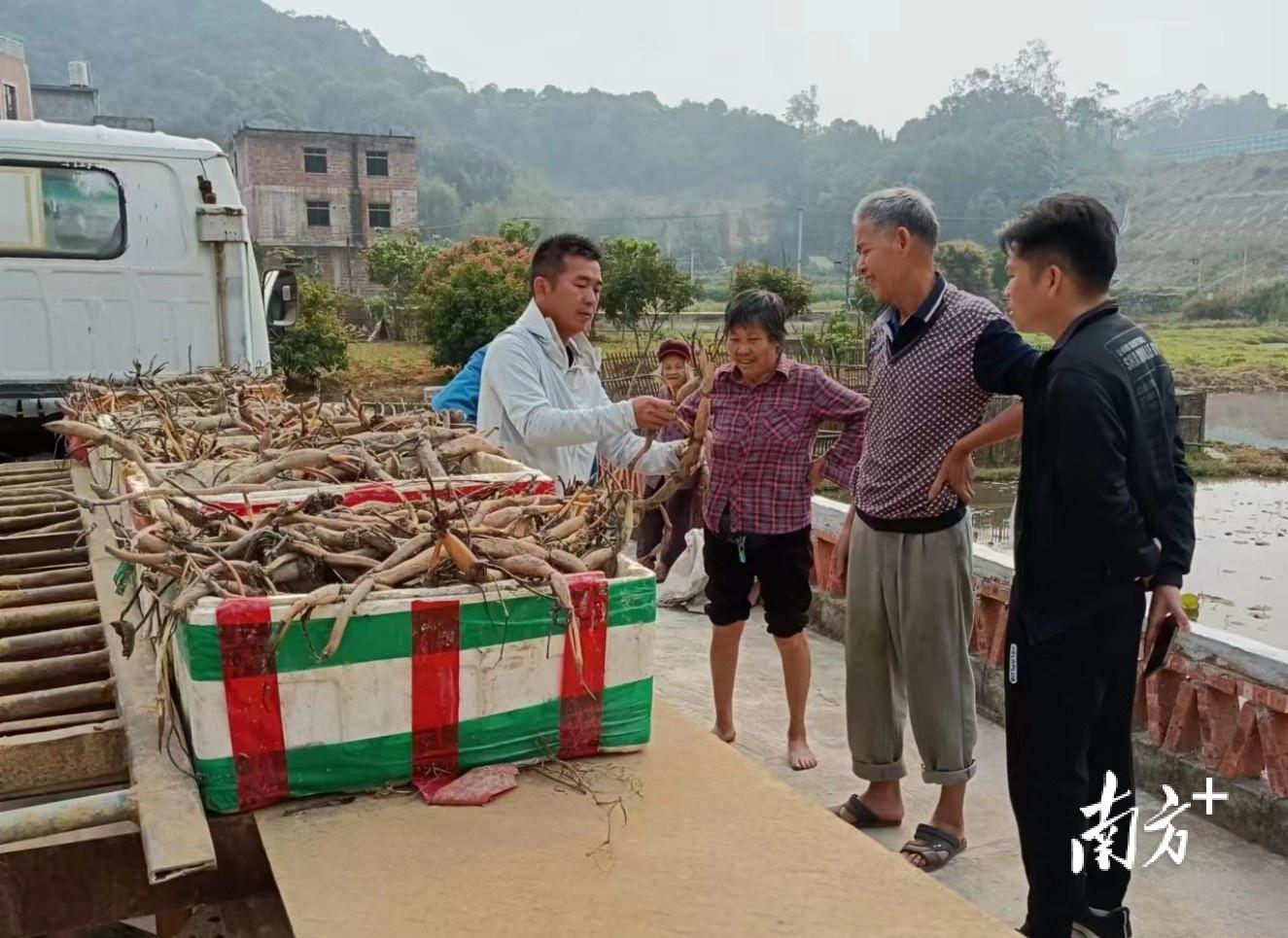 致富经神奇的莲子_致富经神奇的莲子_致富神奇莲子图片