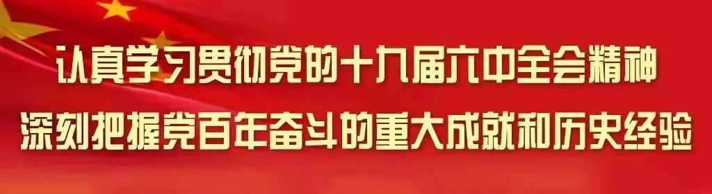 【产业发展】草坪乡：中药材种植忙 致富路上飘药香