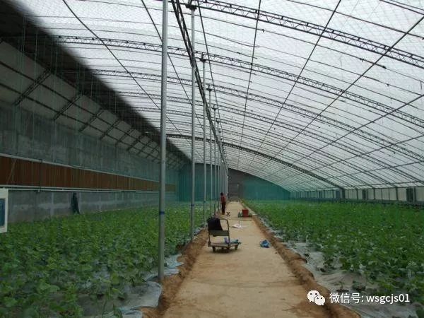 温室工程技术, 种植参考：全国设施蔬菜种植面积和分布情况