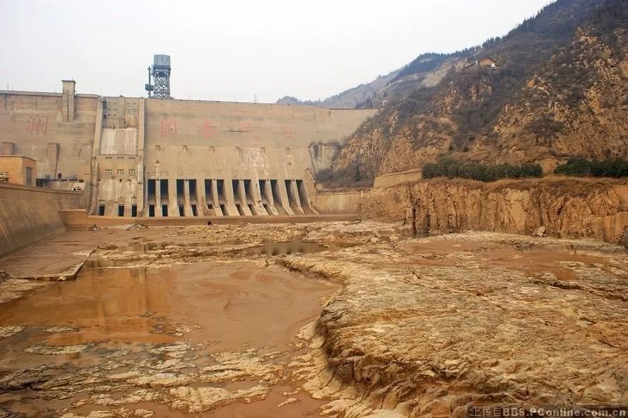 三门峡肉牛养殖场_三门峡养牛有补贴政策吗_三门峡牛养殖致富经历